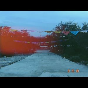 Meet your Posher, Norma